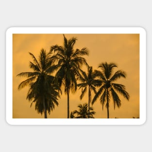 Palms Against an Evening Sky Sticker